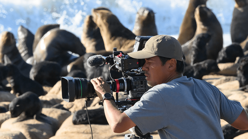 Nature Programs Embodying SDGs