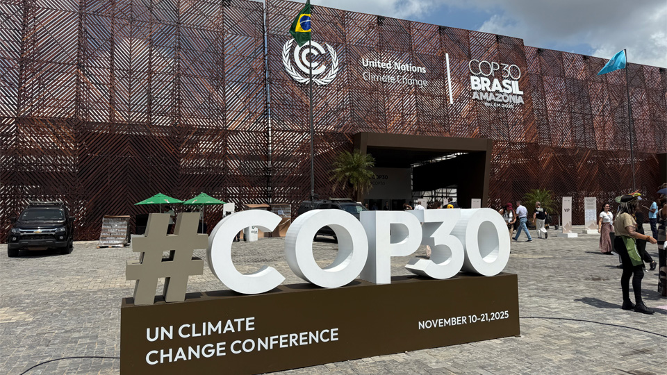 このコンテンツのサムネイル画像